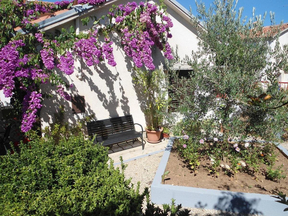 Aurora Apartament